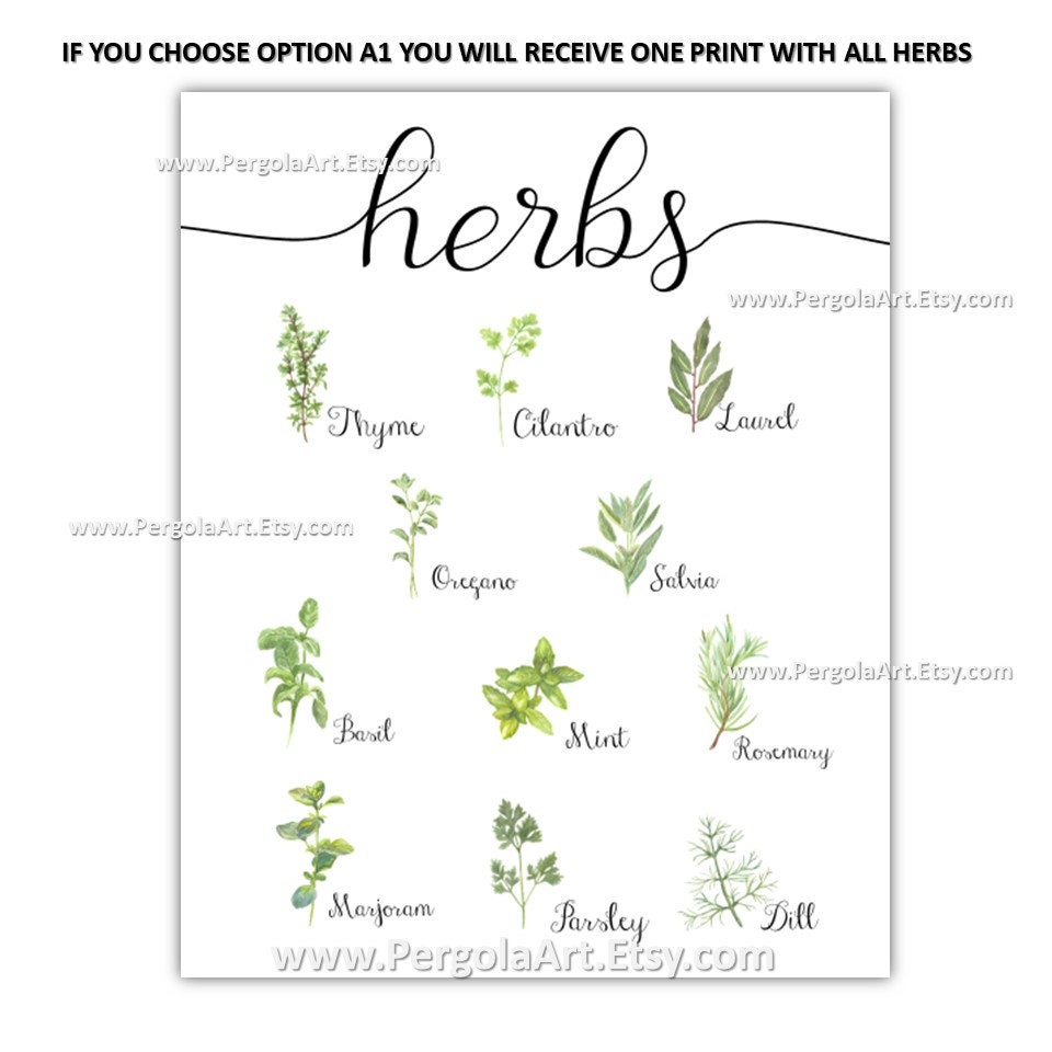 Herbs Print Watercolor Herbs Kitchen Art Herb Wall Art | Etsy
