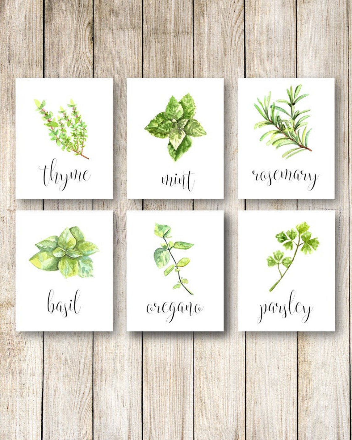 Herb Kitchen Decor Watercolor Herbs Kitchen Art Kitchen Etsy