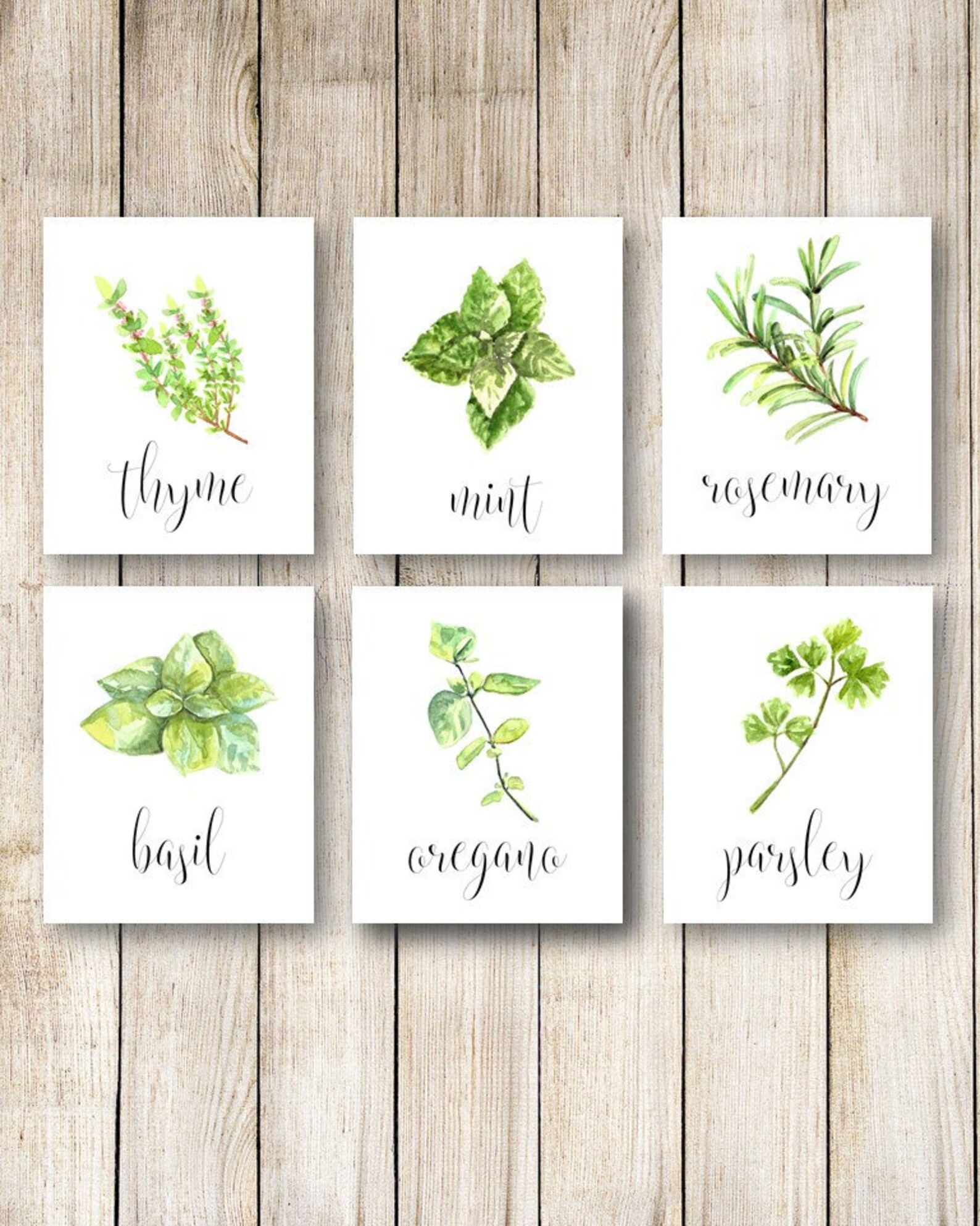Herb Kitchen Decor Watercolor Herbs Kitchen Art Kitchen Etsy