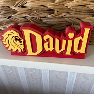 May include: A red and yellow 3D-printed nameplate that reads "David." The name is in yellow, with a lion's head emblem on the left. The nameplate is on a white surface, with a woven basket in the background.