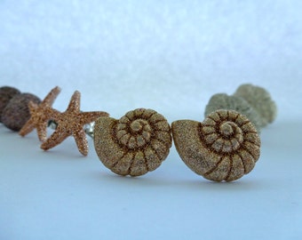 Ammonite Shell Stud Earrings: Under the Sea, Sea Creature, Animal Earrings, Button Earrings, Destination, Summer.