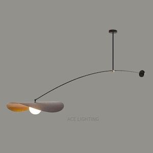 May include: Contemporary pendant light with a curved black arm and a gray and gold shade. The fixture has a small, round light at the end of the arm and a white bulb. The text "ACE LIGHTING" is visible.
