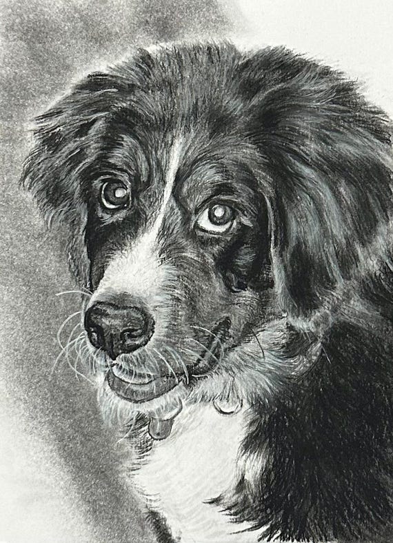 Custom Original Charcoal Drawing (6