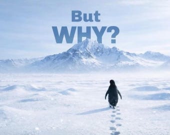 But Why Penguin PNG | Nihilist Penguin T-Shirt & Wall Art Digital Download