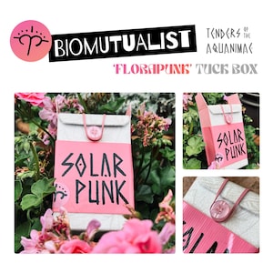 May include: A rectangular tuck box featuring a light gray textured upper section and a vibrant pink lower band with the black text SOLAR PUNK. The closure consists of a pink elastic cord looped over a translucent pink button on the front flap.