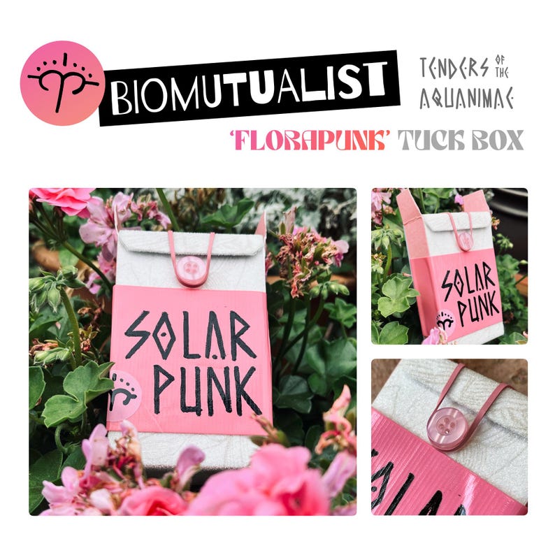 May include: A rectangular tuck box featuring a light gray textured upper section and a vibrant pink lower band with the black text SOLAR PUNK. The closure consists of a pink elastic cord looped over a translucent pink button on the front flap.