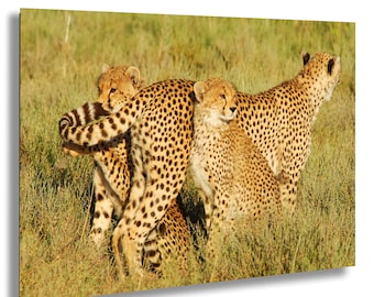 Fotografía de vida silvestre de Tanzania: madre guepardo con sus crías, arte mural de grandes felinos en un safari africano, impresión fotográfica de guepardo de los pastizales de Ndutu
