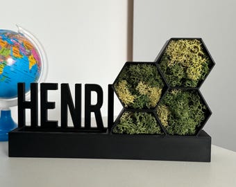 Porta telefono personalizzato con muschio di renna | Decorazione da scrivania stampata in 3D con nome | Regalo sostenibile per ufficio e home office