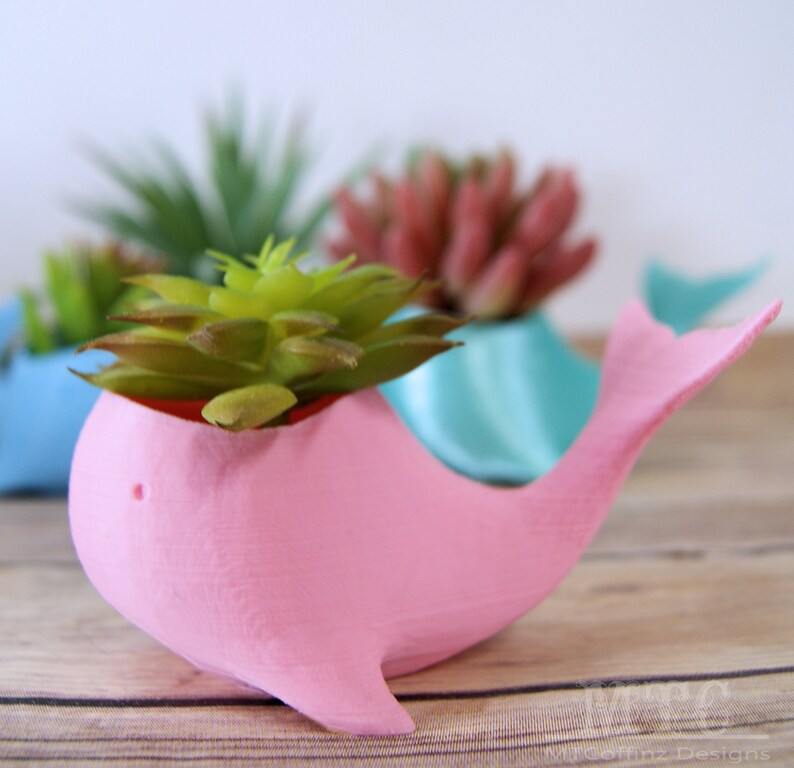 Whale Planter Succulent Sea Ocean Air Plant Pot Miniature Desk Garden Cubicle Decoration 3D Printed Choose color and size MTcoffinz