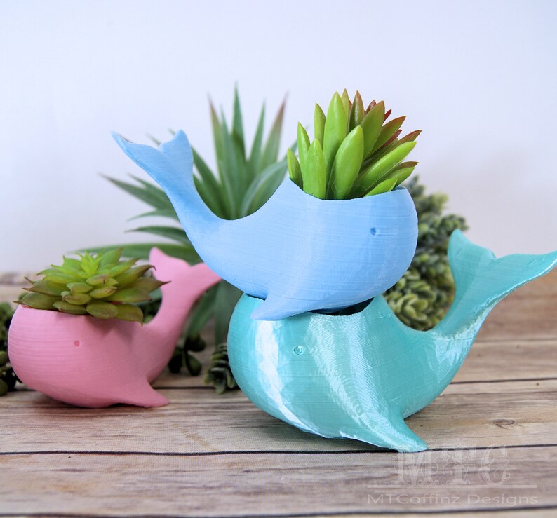 Whale Planter Succulent Sea Ocean Air Plant Pot Miniature Desk Garden Cubicle Decoration 3D Printed Choose color and size MTcoffinz