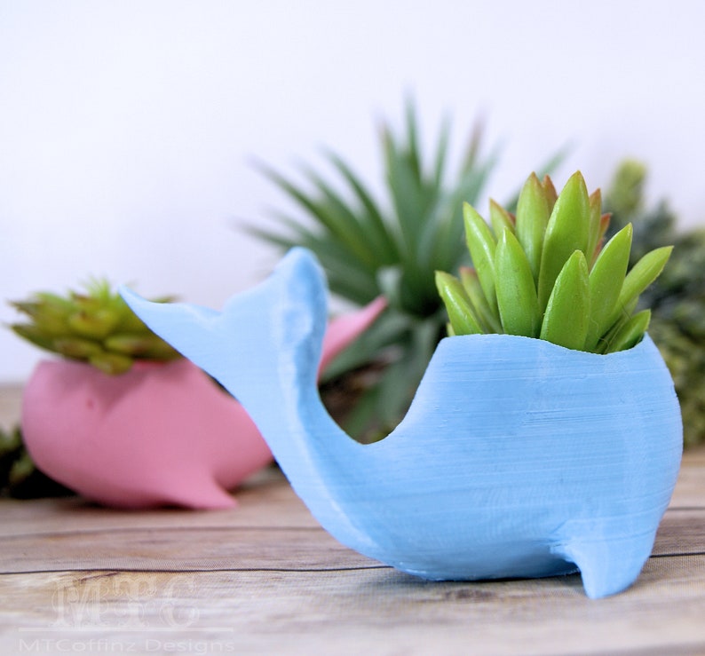 Whale Planter Succulent Sea Ocean Air Plant Pot Miniature Desk Garden Cubicle Decoration 3D Printed Choose color and size MTcoffinz