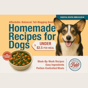 Essential Recipes - Week 03