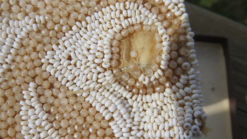 Beautiful Small White Vintage Glass Micro Beaded Hand Bag Purse or Wallet