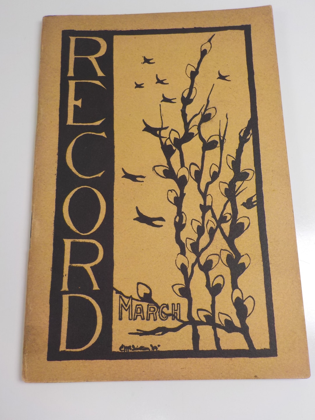 March 1901 the Rayen Record Youngstown Ohio Class Book Full of Etsy