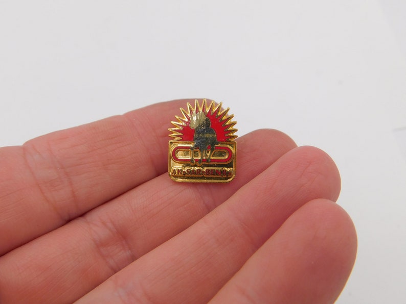Vintage Ak Sar Ben Omaha Society Horse Race Show Pin Dated 1984 dr55