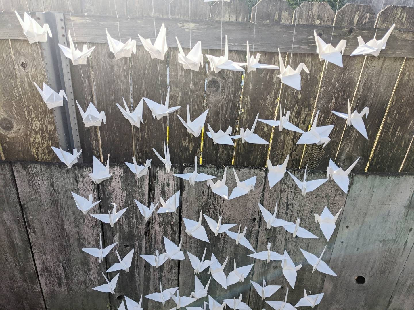 10x10 strings of 6" white origami cranes garland wedding backdrop big paper birds