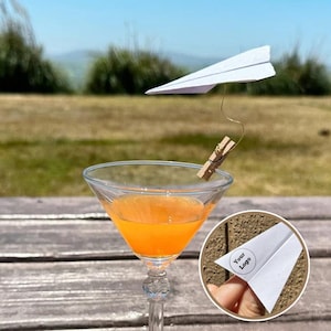 Origami Paper Airplane Cocktail Picks: Pilot Wedding Decor, Set of 25