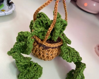 A Plant You Can't Kill