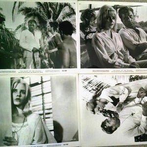 May include: Four black and white film stills from "The Night of the Iguana." The images feature actors in various scenes, including outdoor settings with palm trees and interior shots. The stills are from the 1964 film.