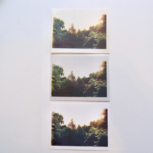 Risograph Print, Central Park