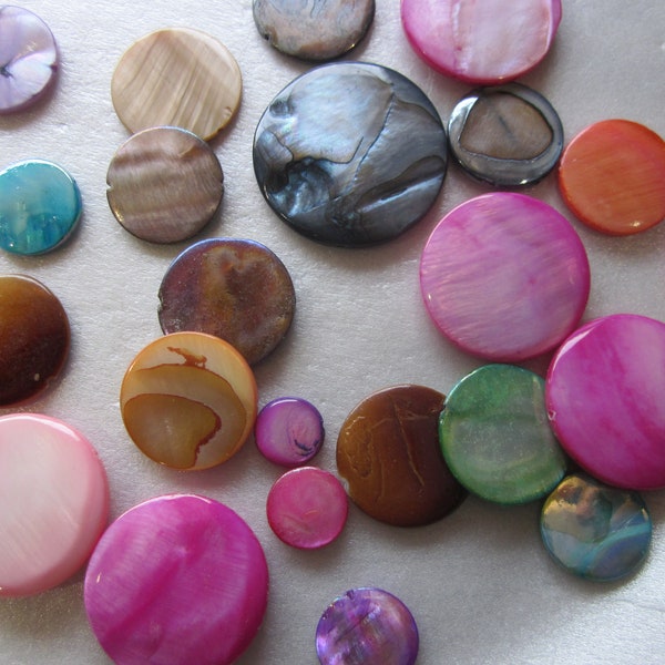 Multi Color Coin Mother of Pearl Shell Beads 12-30mm 12 Beads