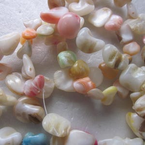 以下が含まれることがあります： 白、ピンク、オレンジ、グリーンなど、さまざまな形と色の虹色の貝殻ビーズのストランド。ビーズは白い糸に糸で通されています。