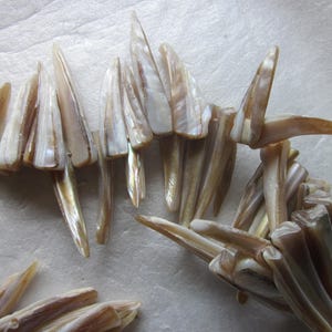 May include: A collection of iridescent, natural shell pieces, likely for jewelry or craft projects. The shells are primarily beige and white, with a pearlescent sheen. The shapes are elongated and pointed, resembling small, irregular blades.