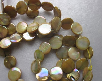 Green Gold Coin Mother of Pearl Shell Beads 12-13mm 14 Beads