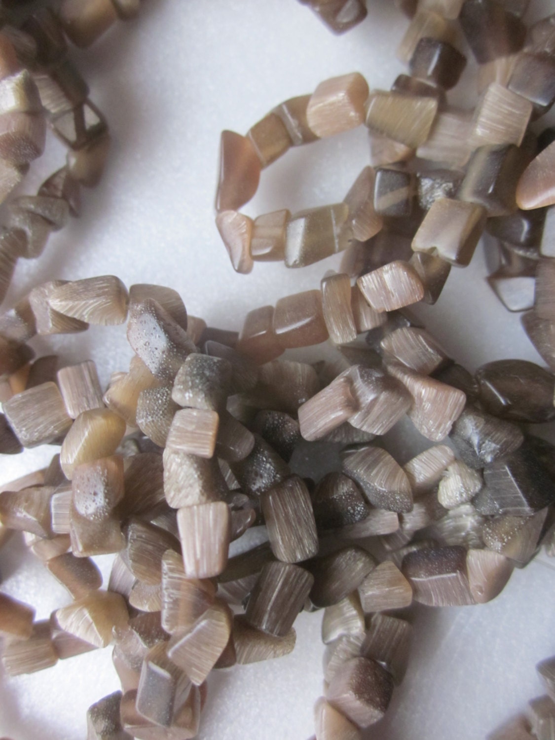 Tiny Shark Eye Shell Beads 4-7mm