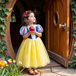 Snow White Princess Dress for Girls: Disney Inspired Birthday Outfit