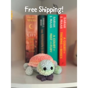 May include: A handmade crochet turtle with a gradient shell in shades of pink and orange, and a green and blue head. The turtle is sitting on a shelf in front of a row of books. The books have titles like "A Court of Mist and Fury."
