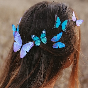 Assorted Fairy Butterfly Hair Clips