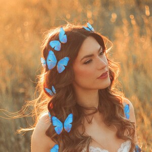 Electric Desert Blue Morpho Butterfly Hair Clips image 2