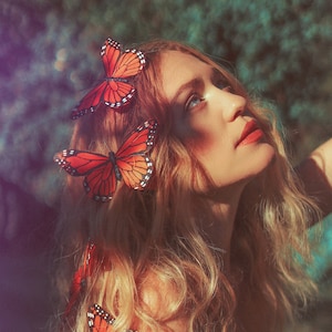 Pinzas para el pelo con forma de mariposa y hada monarca
