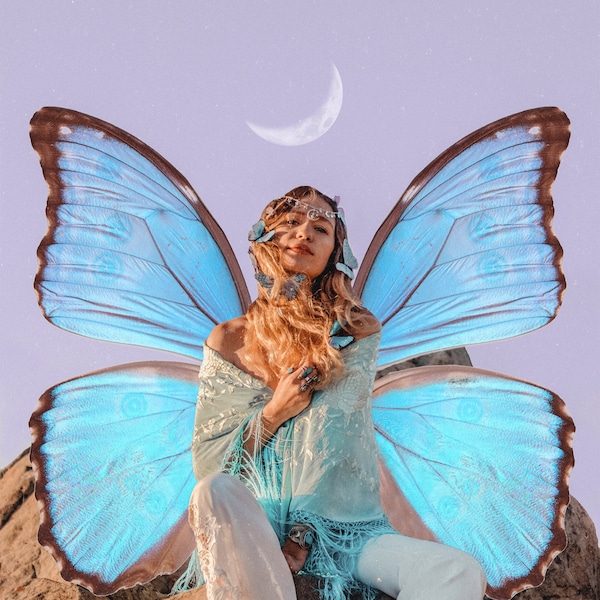 Digital Download | Blue Morpho Butterfly PNG Files | Photoshop Overlay Collage Graphics