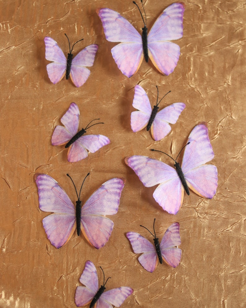 Heart of Amethyst Butterfly Hair Clips image 7