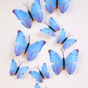 Electric Desert Blue Morpho Butterfly Hair Clips image 7