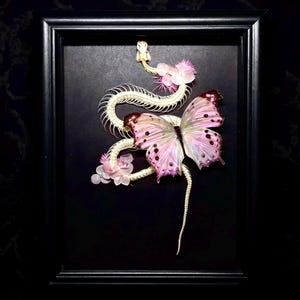 Gothic gerahmte Schmetterling & Schlange Bone Art: Macabre Nature Decor