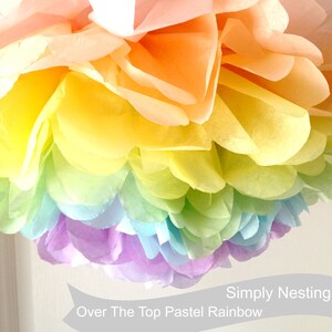 Rainbow Party Tissue Pom Poms - Stesha Party - birthday, birthday boy,  birthday girl