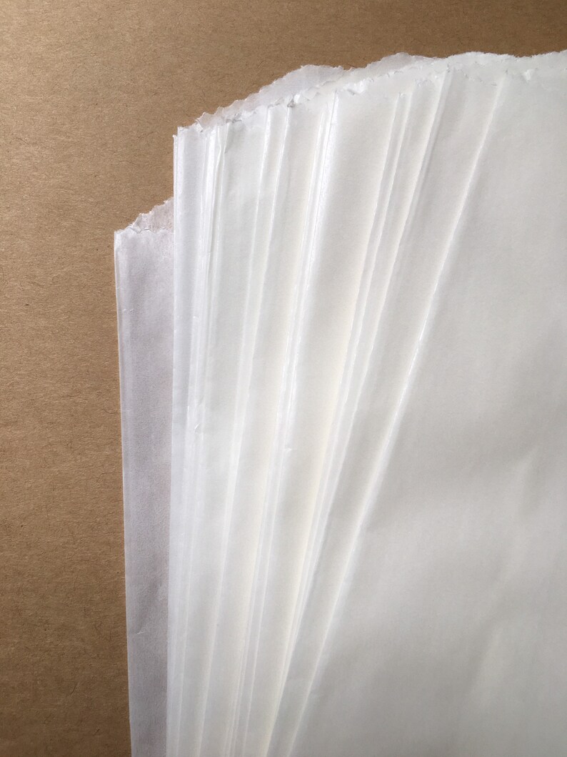 25 Flat Glassine Bags Translucent Flat Glassine Paper Bags Etsy