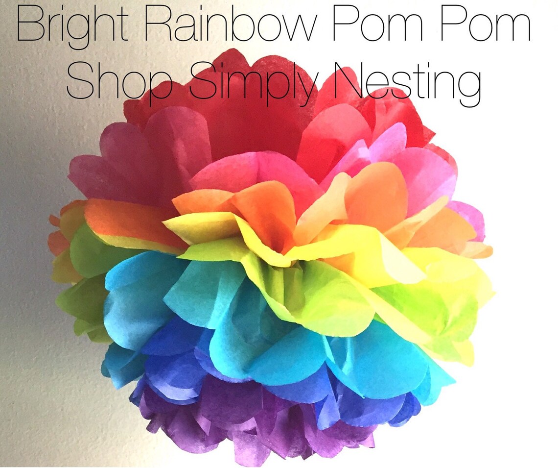 Bright Rainbow Tissue Paper Pom Pom Rainbow Nursery Baby Etsy