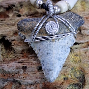 Fossilized Megalodon Shark Tooth Necklace