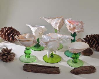 Copas de cóctel hechas a mano con conchas marinas: artículos de bar únicos con temática costera para despedidas de soltero.