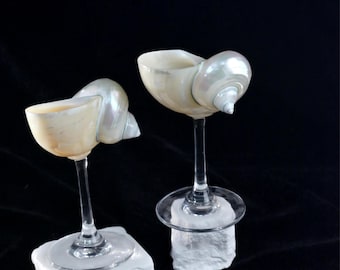 Handcrafted shell wine glasses - Custom whisky beach wedding decoration, wine glasses