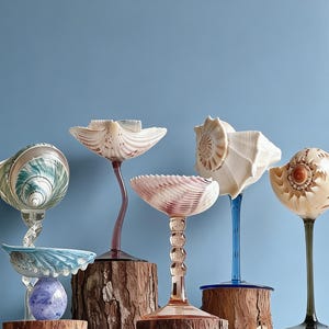 Puede incluir: Una colección de objetos decorativos de vidrio con forma de concha con tallos, expuestos sobre bases de madera. Las conchas son de varios colores, incluyendo blanco, rosa y azul. Los tallos son en tonos de morado, azul y verde. El fondo es azul liso.