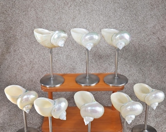 Handmade natural seashell wine glasses, beach wedding wine glasses, shell cups, bar glasses, Hawaiian party glasses