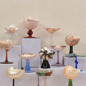 Può includere: Una collezione di ciotole e calici decorativi in vetro a forma di conchiglia. Le ciotole presentano vari colori e design, tra cui finiture bianche, marroni e iridescenti. Ogni pezzo è montato su uno stelo di vetro colorato, creando un'esposizione unica.