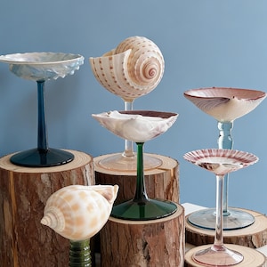 May include: A collection of decorative stemmed glasses, each featuring a unique seashell design. The glasses have colored stems and bases, with the shells in various shapes and colors. They are displayed on wooden rounds against a blue background.