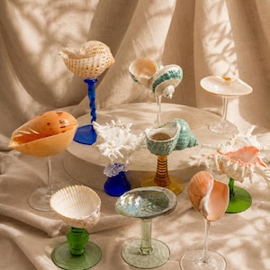 May include: A collection of decorative goblets featuring various seashells attached to stems made of colored glass. The stems are in shades of blue, green, yellow, and clear glass, supporting shells of different shapes, sizes, and natural textures.
