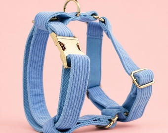 Corduroy dog harness — adjustable gold buckles, optimal comfort | XS to XL | premium style & matching accessory